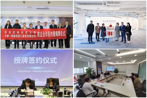 人文社會發(fā)展學(xué)院人力資源服務(wù) 融合人文關(guān)懷與專業(yè)管理的創(chuàng)新實(shí)踐